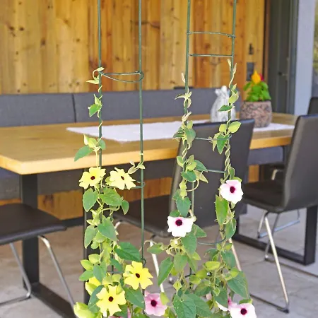 Urgbach Apart.1 Apartment Landeck