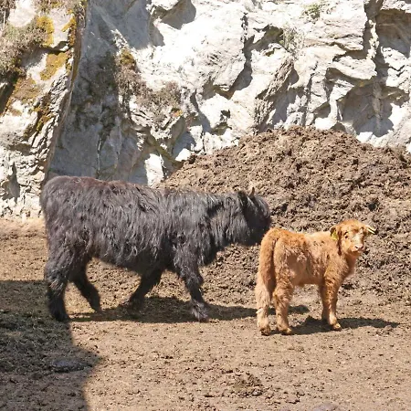 Urgbach Apart-1 By Interhome Landeck