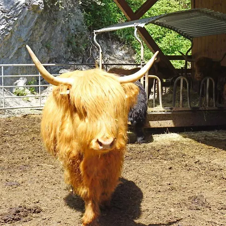 Urgbach Apart-1 By Interhome Appartement